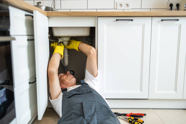 Best Local Plumber Services  in Harmony Grove, CA
