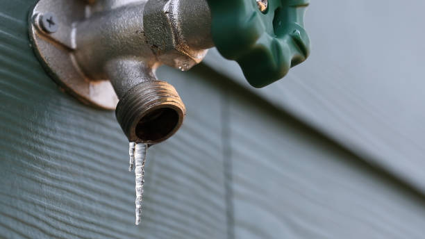 Best Plumbing Services Near Me  in Harmony Grove, CA